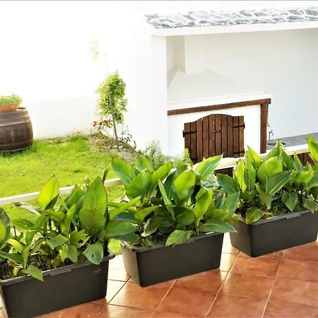 דירה Mily באסקה וודה